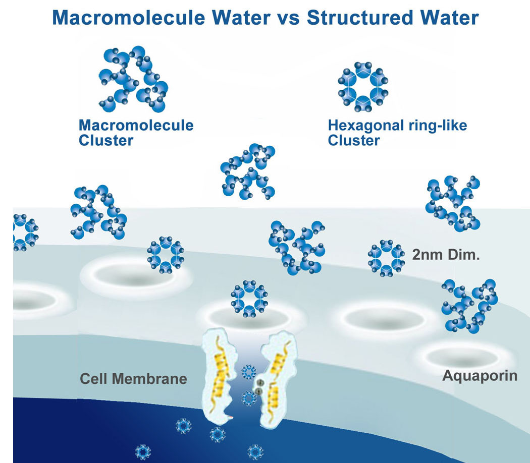 Why Hexagonal Water is Important to Health, HKE Hexagonal Water R&D